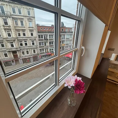 Suite-Pauli